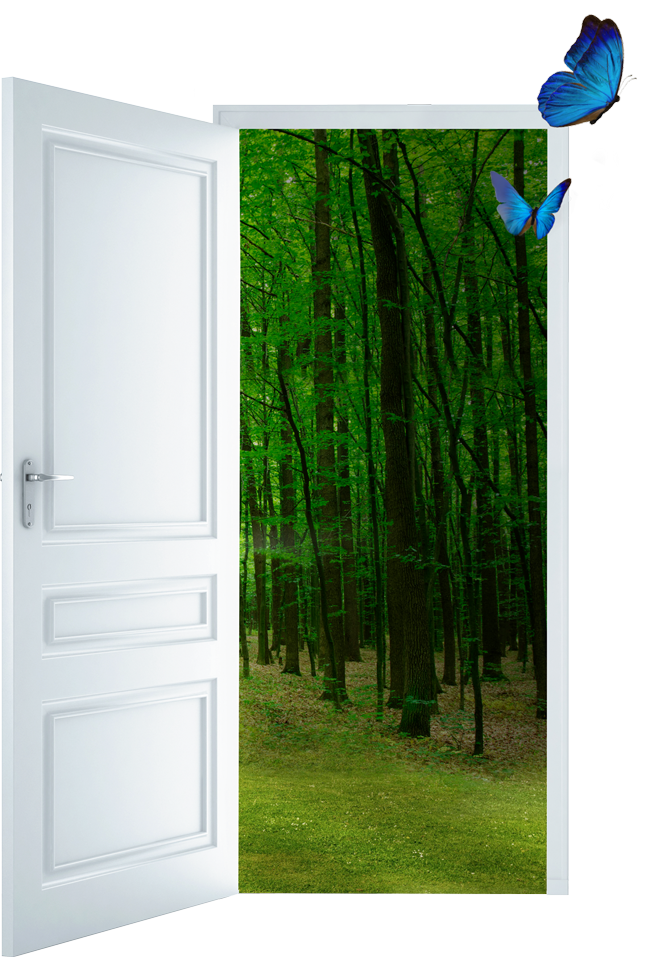 Door Leading to Dense Green Foliage with Blue butterflies