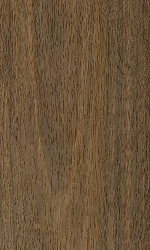 Northern Spotted Gum plank image