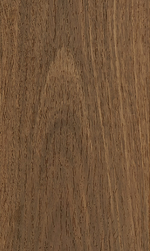 Southern Spotted gum plank image