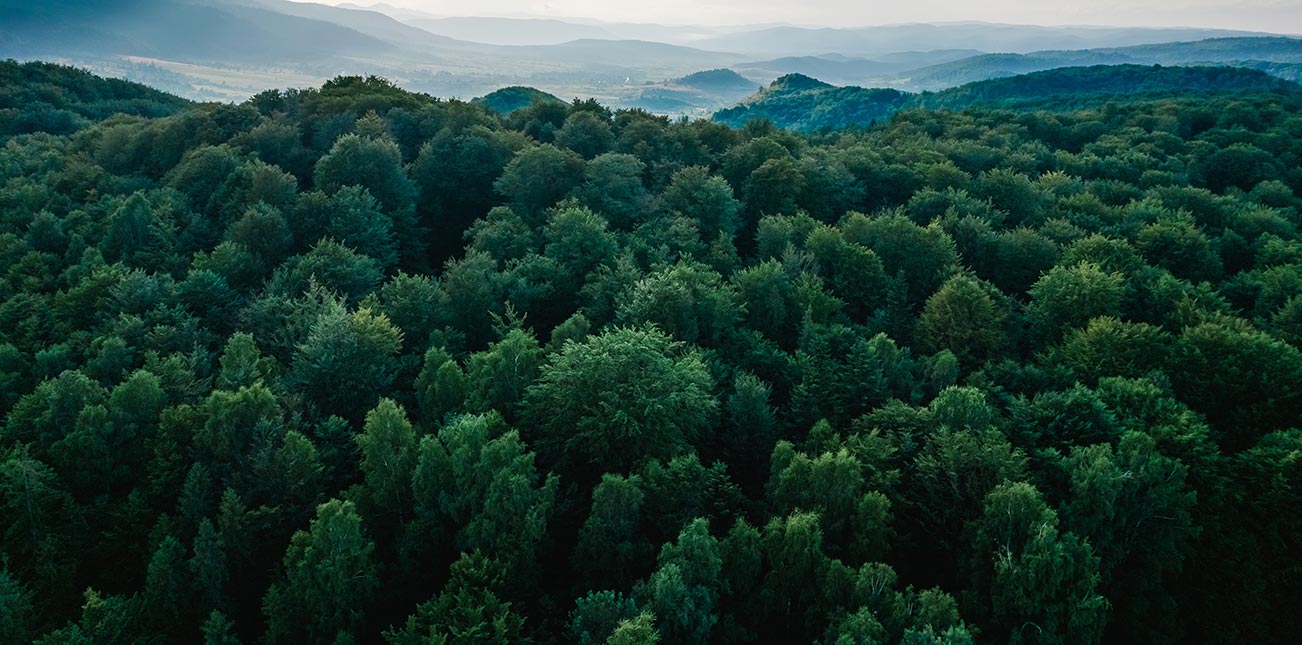 sustainable flooring Australia