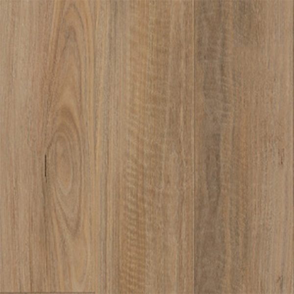 Coastal Spotted Gum Elmfield Vinyl Plank